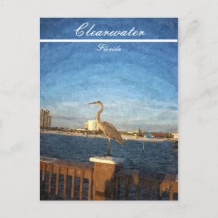 Clearwater Florida Beach Scene Briefkaart