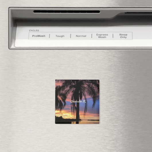 Clearwater, landschapsfoto van Florida Magneet (Insitu (Vaatwasser))