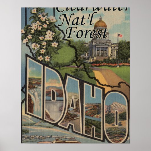 Clearwater Nat'l Forest, Idaho Poster (Voorkant)