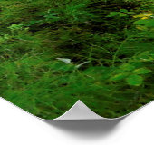 Clearwater River Trail Poster (Hoek)