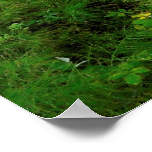 Clearwater River Trail Poster (Hoek)