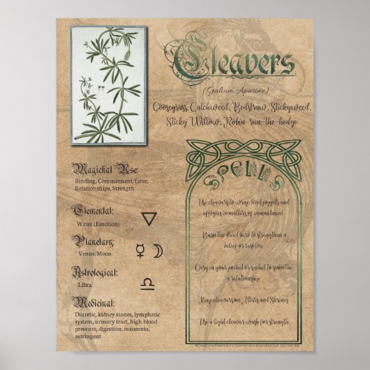 Cleavers Herbal Book of Shadows Pagan Wiccan Poster (Voorkant)