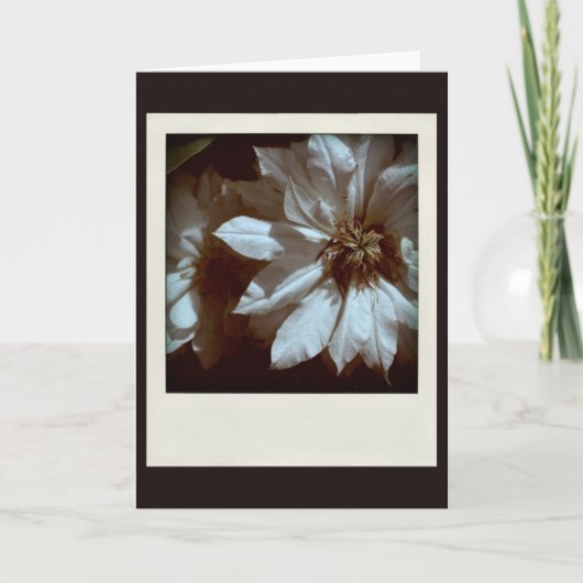 Clematis 1 condoleances bedankkaart (Voorkant)