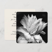 Clematis 1b begrafenismonument kaart (Voorkant / Achterkant)