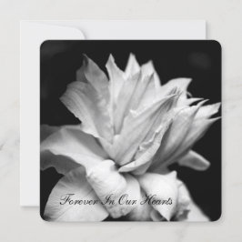 Clematis 1b begrafenismonument kaart