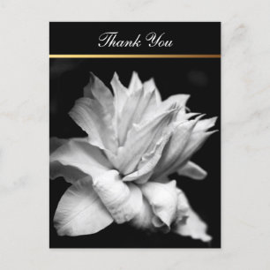 Clematis 1b Memorial Sympathy Dank u Briefkaart