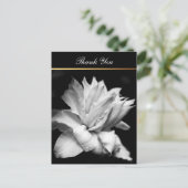 Clematis 1b Memorial Sympathy Dank u Briefkaart (Staand voorkant)