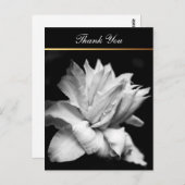 Clematis 1b Memorial Sympathy Dank u Briefkaart (Voorkant / Achterkant)