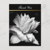 Clematis 1b Memorial Sympathy Dank u Briefkaart (Voorkant)