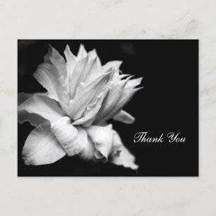 Clematis 1c Memorial Sympathy Dank u Briefkaart