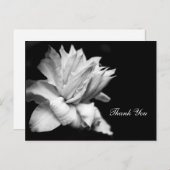 Clematis 1c Memorial Sympathy Dank u Briefkaart (Voorkant / Achterkant)