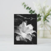 Clematis 2a Bloemen BW Foto Sympathie Dank u Briefkaart (Staand voorkant)