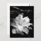 Clematis 2a Bloemen BW Foto Sympathie Dank u Briefkaart (Voorkant / Achterkant)