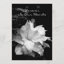 Clematis 2a Dewdrops Funeral Memorial Announement