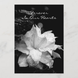 Clematis 2a Dewdrops Funeral Memorial Announement Kaart