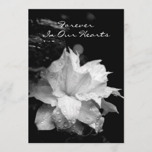 Clematis 2a Dewdrops Funeral Memorial Announement Kaart