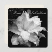 Clematis 2b Dewdrops Funeral Memorial Announement Kaart (Voorkant / Achterkant)