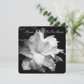 Clematis 2b Dewdrops Funeral Memorial Announement Kaart (Staand voorkant)