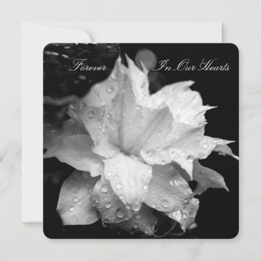 Clematis 2b Dewdrops Funeral Memorial Announement Kaart (Voorkant)
