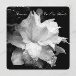 Clematis 2b Dewdrops Funeral Memorial Announement Kaart