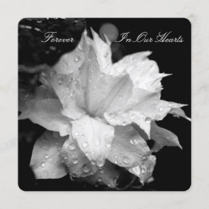 Clematis 2b Dewdrops Funeral Memorial Announement Kaart