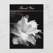Clematis 2c Bloemen BW Foto Sympathie Dank u Briefkaart (Voorkant)