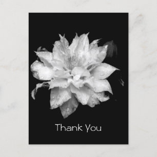 Clematis 3a Memorial Sympathy Dank u Briefkaart