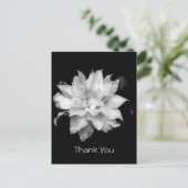 Clematis 3a Memorial Sympathy Dank u Briefkaart (Staand voorkant)