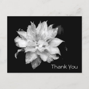 Clematis 3b Memorial Sympathy Dank u Briefkaart