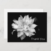Clematis 3b Memorial Sympathy Dank u Briefkaart (Voorkant / Achterkant)