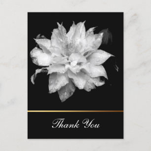 Clematis 3c Floral B&W Foto Sympathy Dank u Briefkaart