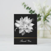 Clematis 3c Floral B&W Foto Sympathy Dank u Briefkaart (Staand voorkant)