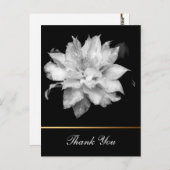 Clematis 3c Floral B&W Foto Sympathy Dank u Briefkaart (Voorkant / Achterkant)