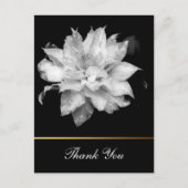 Clematis 3c Floral B&W Foto Sympathy Dank u Briefkaart (Voorkant)