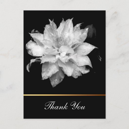 Clematis 3c Floral B&W Foto Sympathy Dank u Briefkaart (Voorkant)