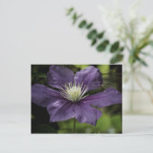 Clematis 8510 Briefkaart (Staand voorkant)