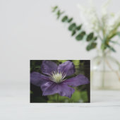 Clematis 8510 Mini Print Visitekaartje (Staand voorkant)