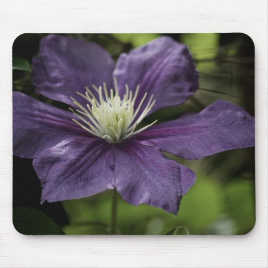 Clematis 8510 Mousepad Muismat (Voorkant)