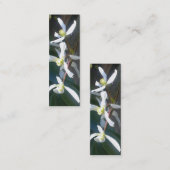 Clematis Armandii Blossom Bladwijzer Visitekaartje (Voorkant / Achterkant)