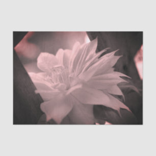 Clematis blauw en witte  ontkoppeling tissuepapier