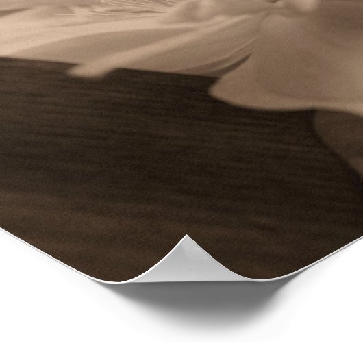 Clematis-bloem op Trellis in sepia Poster (Hoek)