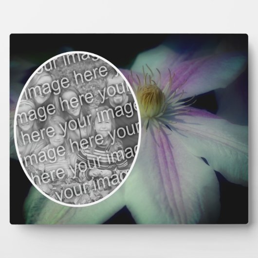 Clematis Bloemblaadjes Creëer Uw Eigen Foto Fotoplaat (Voorkant)