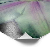 Clematis bloemblaadjes van dichtbij 8x10 foto afdruk (Hoek)