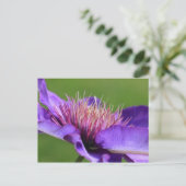 Clematis Briefkaart (Staand voorkant)