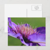 Clematis Briefkaart (Voorkant / Achterkant)
