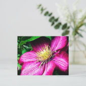 Clematis Briefkaart (Staand voorkant)