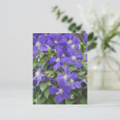 clematis briefkaart (Staand voorkant)
