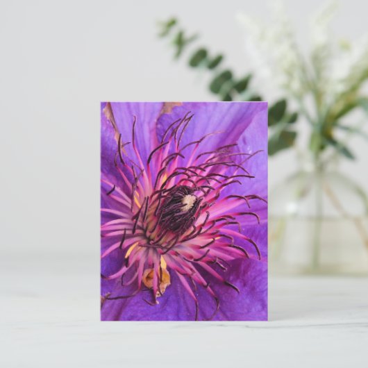 CLEMATIS BRIEFKAART (Staand voorkant)