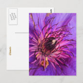 CLEMATIS BRIEFKAART (Voorkant / Achterkant)