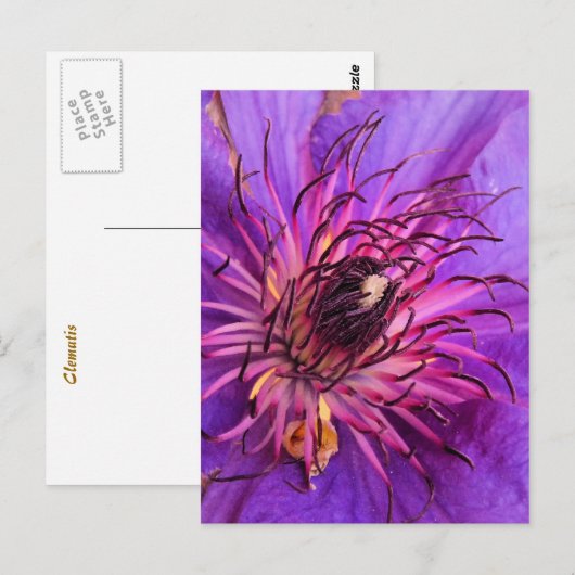 CLEMATIS BRIEFKAART (Voorkant / Achterkant)